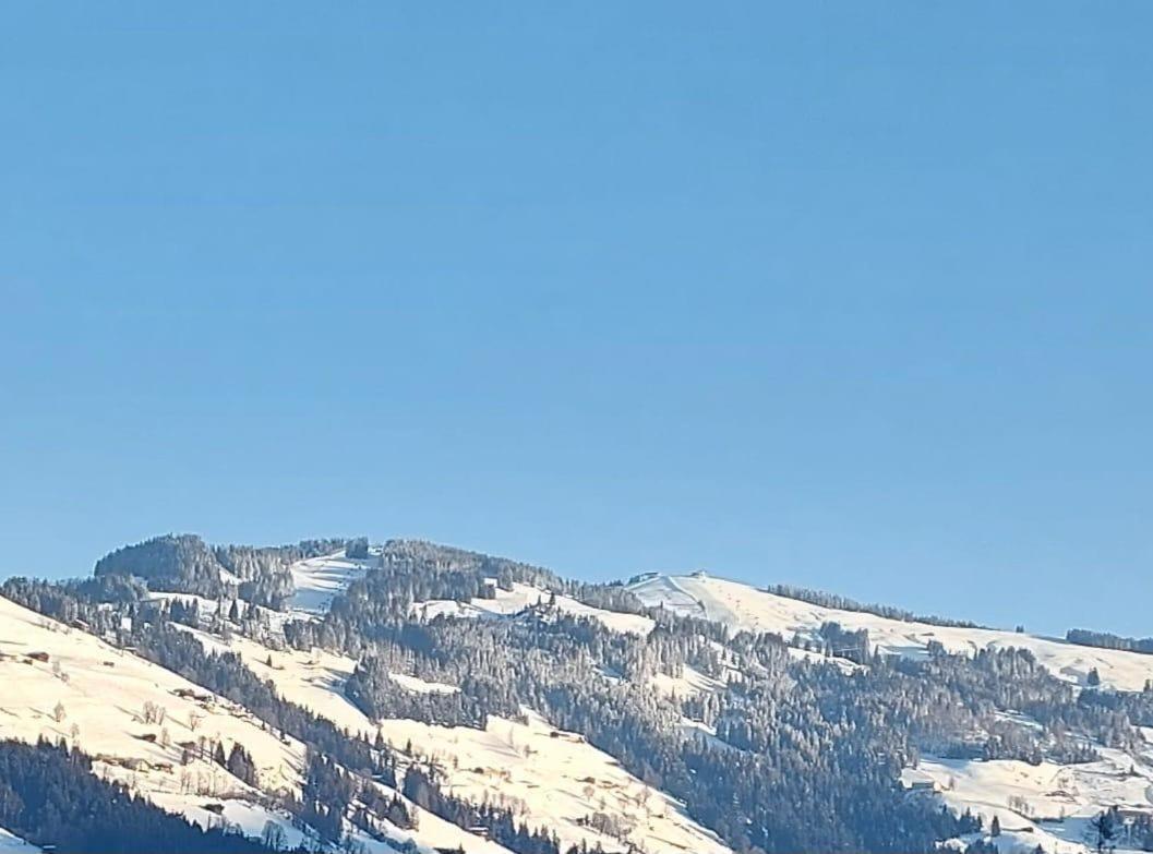Apartment Haus Gletscherblick *